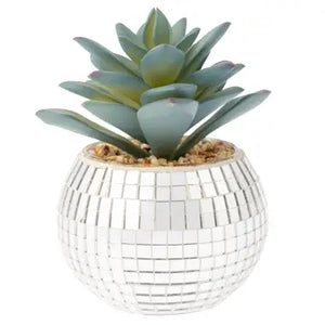 Disco Succulent Pot