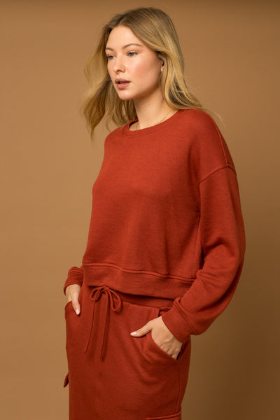 Brick Cropped Sweatshirt