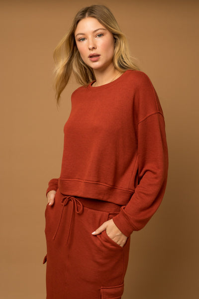 Brick Cropped Sweatshirt